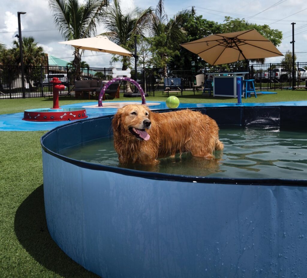 Baxter's Doghouse. Photo by Paul Piasecki