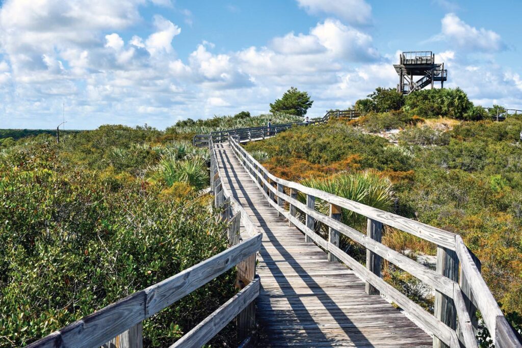Jonathan Dickinson State Park. Photo courtesy of iStock