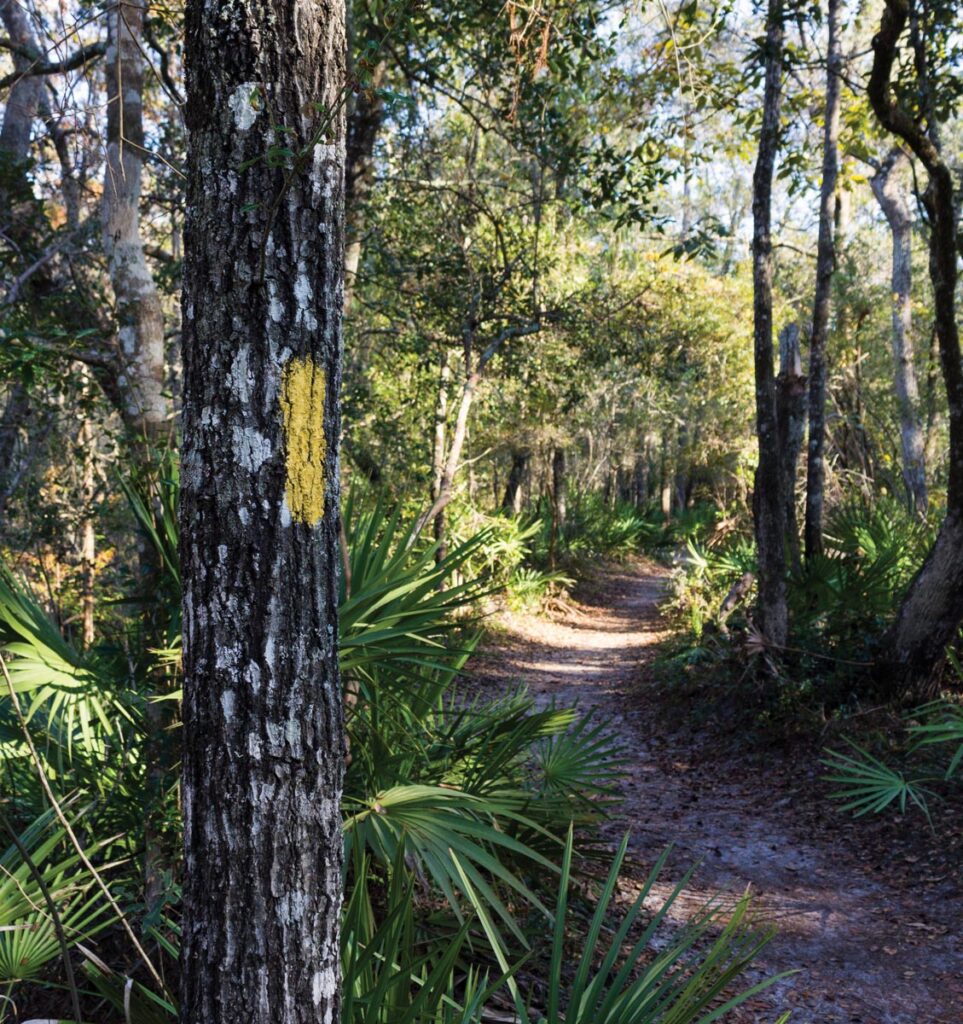 Kitching Creek Nature Trail at Jonathan Dickinson State Park. Photo courtesy of iStock