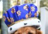 Nominate Palm City’s Honorary Dog Mayor Chase Gohlke-Marino was named the Humane Society of the Treasure Coast's first Honorary Dog Mayor, a title first awarded last year at the 22nd annual Mutt March. Photo by Doreen Poreba