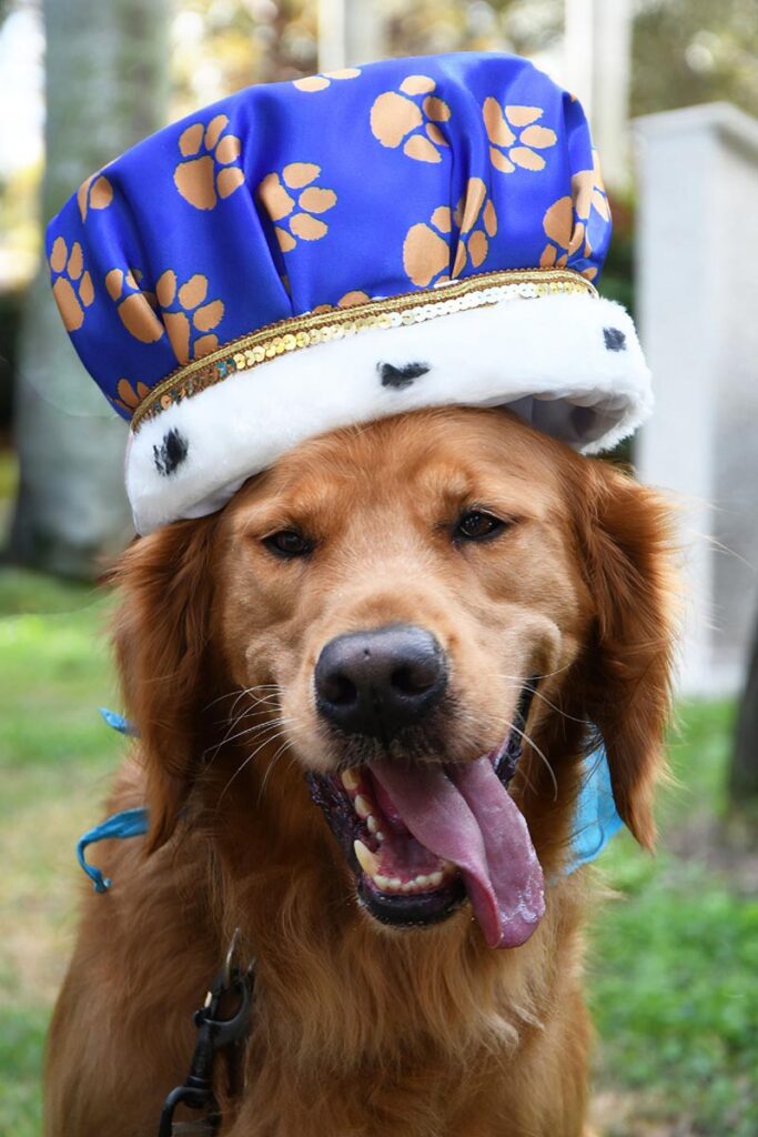 Chase Gohlke-Marino was named the Humane Society of the Treasure Coast's first Honorary Dog Mayor, a title first awarded last year at the 22nd annual Mutt March. Photo by Doreen Poreba