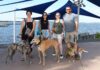 Pup Crawl Returns to Downtown Stuart Laura Curry with Ronaldo, Leah Corbett with Ryan, Kim and Paul Hintze with Kala and Feebee at last year’s Pup Crawl