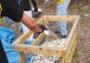 Vertical Oyster Gardens Are Taking Root in Our Waters MORI volunteers build a vertical oyster garden from recycled shells.. Photo by MORI Photos